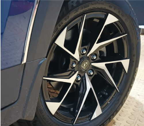 Door Visor