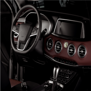 luxury accessories for cars